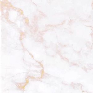 Meet your Posher, Destiny